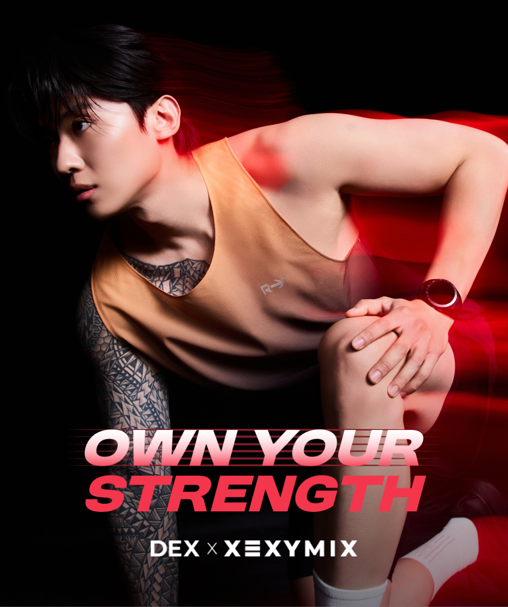 덱스
